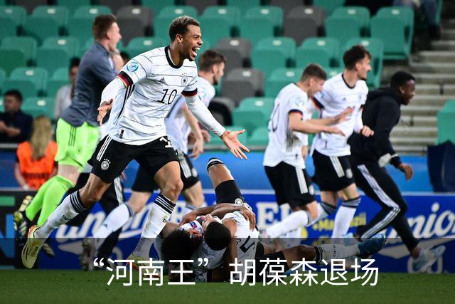 “河南王”胡葆森退场