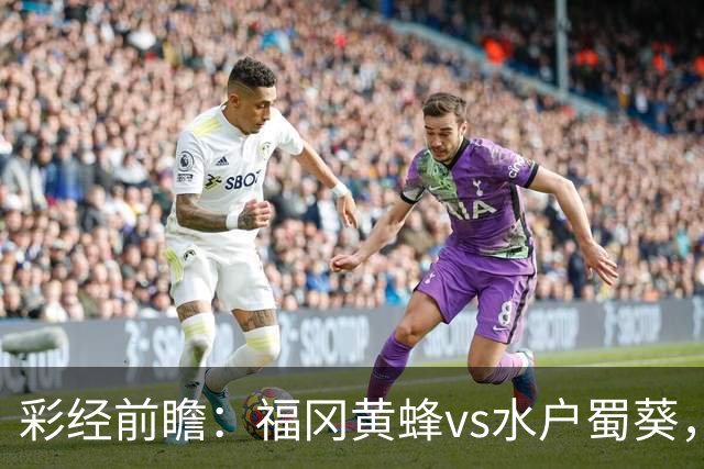 彩经前瞻：福冈黄蜂vs水户蜀葵，客队表现出色看好不败